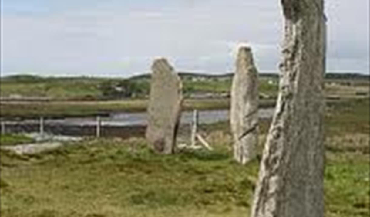 Cnoc Ceann a' Ghàrraidh (Calanais II) by Anne Burgess