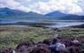 Gatliff Hebridean Hostel - Howmore heather loch & mountains