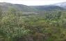 Ardvourlie Woodland