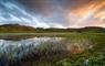 Warner-Tate Photography peaceful loch