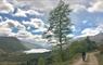 Skinny Tyres Ltd woodland cycle path & loch