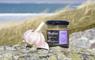Jar of mustard and Garlic in Hebridean landscape