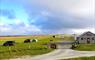 Campsite