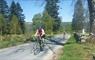 Skinny Tyres Ltd 2 cyclists in woodland