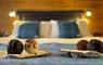 SEApods - Isle of Lewis chocolates on bed