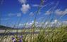 Creagan Glas Cottage maram grass at beach