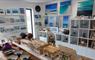 Shoreline Stoneware display of pictures & various items