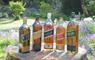 Harris Hotel 5 whisky bottles on tree stump