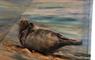 Puffin and Peregrine Tiny-House's painting of seal