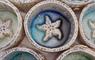 starfish dish