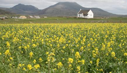 Howmore Beach and Machair